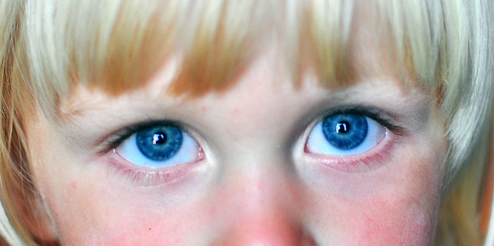 Indigo Kinder