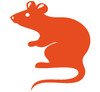 Tierkreiszeichen Ratte